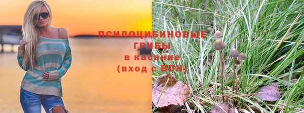 прущая мука Арсеньев