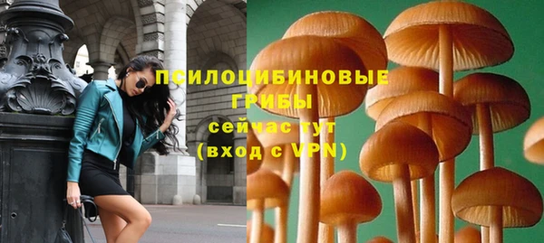 прущая мука Арсеньев