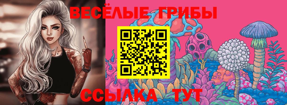 Псилоцибиновые грибы Psilocybine cubensis Ессентуки