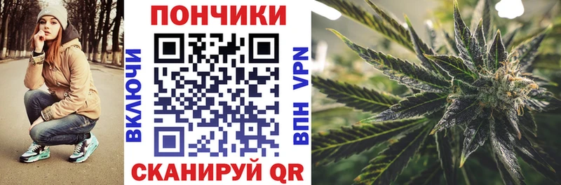 Каннабис семена omg ссылка Ессентуки где продают